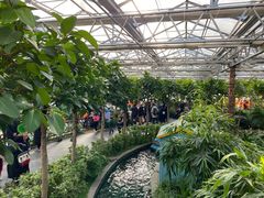 -南宫五洲植物乐园