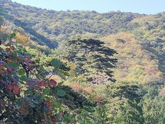 -香山公园