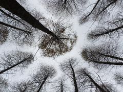 -山王坪喀斯特国家生态公园
