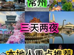-中华恐龙园