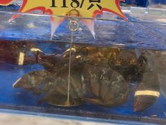 水产区-宝轩渔府·老字号海鲜·正宗津菜(水上店)