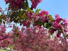 -长白岛森林公园