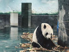 -安吉竹博园