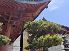 -上海东林寺(金山区)
