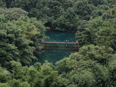 -鼎湖山风景区