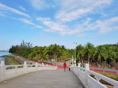 -万绿园