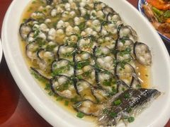 -呼吸森林·生态农庄农家乐私房菜