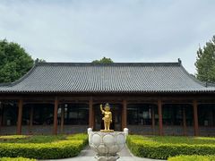 -荷花大观园