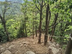 -羚羊峡古栈道森林公园