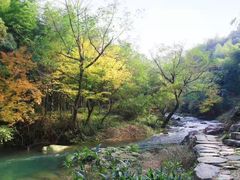 -宁波浙东大竹海景区