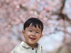 -石家庄市植物园