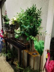 点击看大图 -薇薇安花系SPA