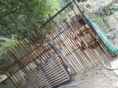 -鹿福农庄(南沙天后宫店)