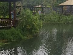 -成飞公园