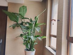 -jpc集品佳宴·地标餐厅(中山店)