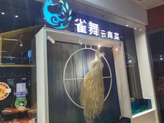门面-雀舞云南菜(乐客城店)