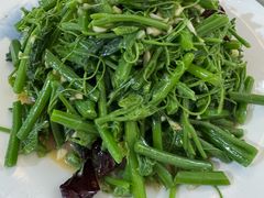 炝拌丝瓜尖-张记荞面馆