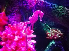 -沈阳海洋探索中心