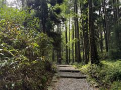 -罗田薄刀峰风景区