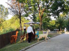 -太阳岛度假酒店
