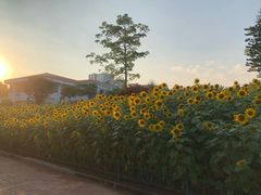 -五通灯塔公园