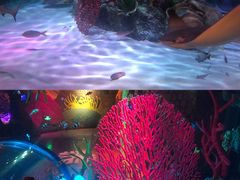 -沈阳海洋探索中心