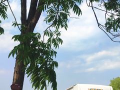 -梁鸿国家湿地公园