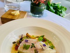 -蝶舍·MAISON PAPILLON