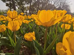 -玄武湖景区-情侣园游乐场