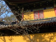 -普陀山慧济禅寺