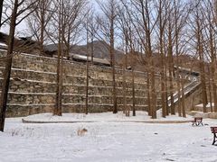 -阳台山自然风景区