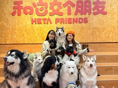 -和它·交个朋友·狗咖猫咖(爱琴海店)
