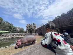 -Zoolung Zoolung动物主题公园(海信广场店)