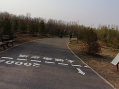 -东郊湿地公园