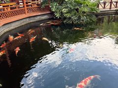 -香麒园·过桥米线·南湖雅宴