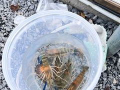 -DGE季风钓虾营地·团建·聚会