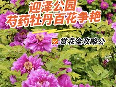 -迎泽公园