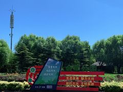 -金星公园