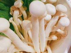 -超级鲜•胡毛肚火锅(扬帆店)