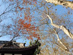 -北山街历史文化街区