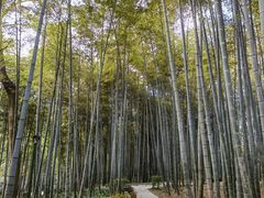 -杭州黄龙洞