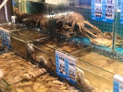 -烧货·活海鲜炭烧(湖滨商业街店)