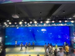 -烟台海昌鲸鲨海洋公园