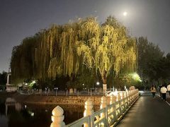 -裕华世纪公园