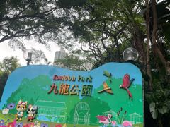 -九龙公园