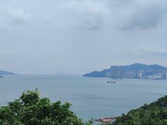 -黄家驹墓