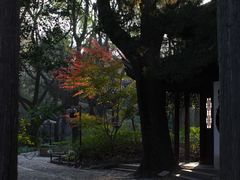 -汇龙潭