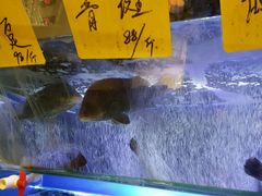 -皇后餐厅-煲仔·小菜·打边炉(古北店)