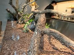 -曲廊院(东四十一条店)