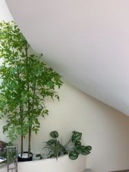 -OAE日式皮肤管理お肌の